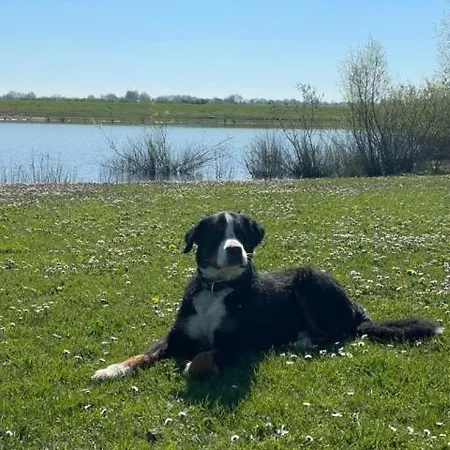 Marina Strandbad Aan Het Mit Zaun Haus Nr 133 *