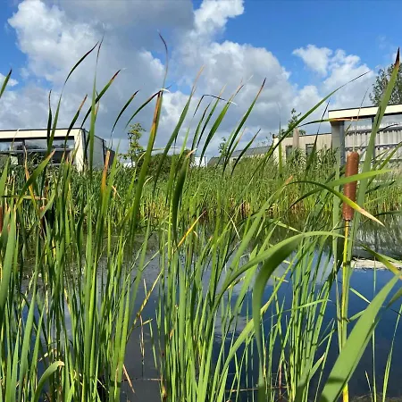 Marina Strandbad Aan Het Mit Zaun Haus Nr 133 *
