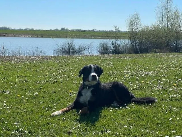Marina Strandbad Aan Het Mit Zaun Haus Nr 133 *